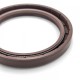 Pressure oil seal 55x72x8/8,5 N1T01 FPM [BABSL]